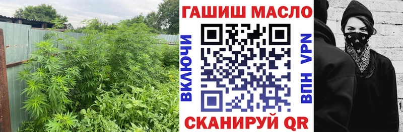 кракен рабочий сайт  где продают наркотики  Кирово-Чепецк  ТГК концентрат 