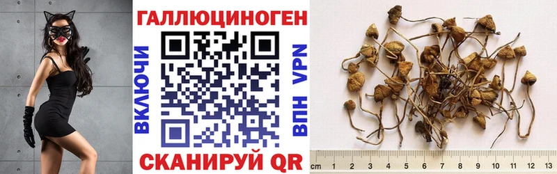 Галлюциногенные грибы GOLDEN TEACHER  нарко площадка как зайти  Кирово-Чепецк  продажа наркотиков 